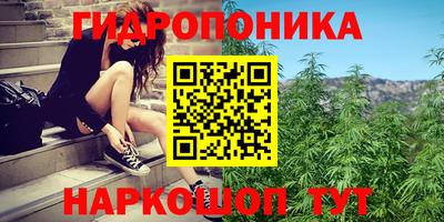 ГАЛЛЮЦИНОГЕННЫЕ ГРИБЫ Можга