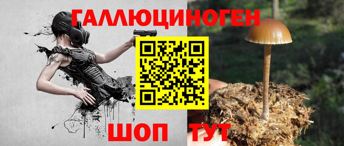 Псилоцибиновые грибы Psilocybe  Вход с VPN  Сосновоборск 